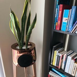 Meet your Posher, Ina